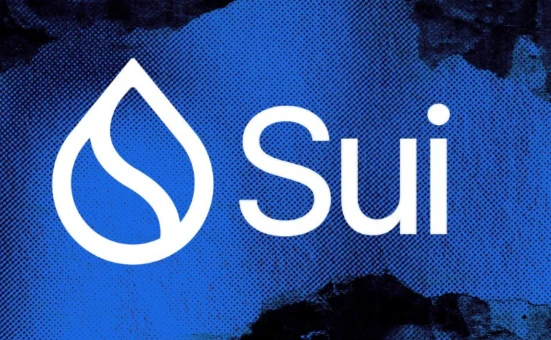 Sui生态：定义、技术与应用解析
