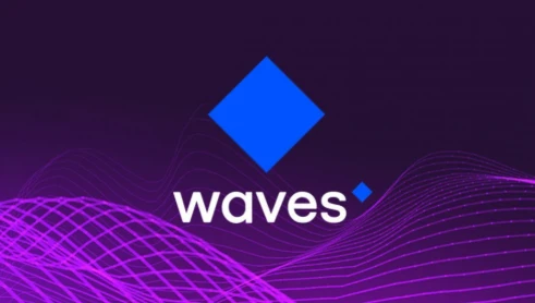 Waves生态：隐私协议、稳定币与WX Network的治理融合实践