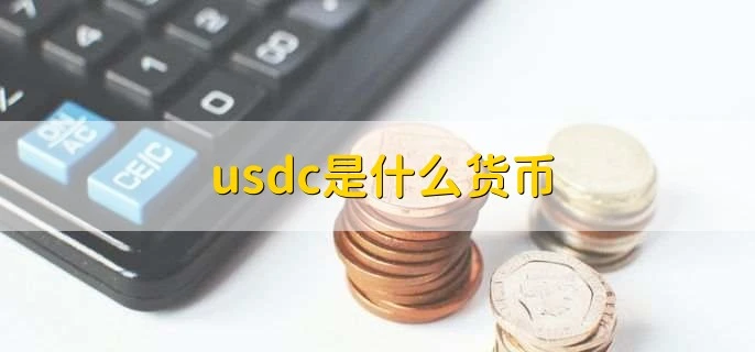 达美币Digital usd(DUSD)：1:1美元挂钩的稳定币赎回价值保障解析