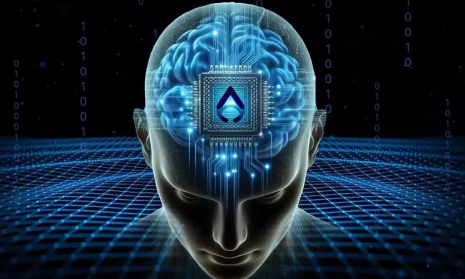54248493-785b-498d-bb6b-0b5f1c6b905c.png