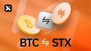 比特币生态币的龙头是哪个？龙头币作用是什么？