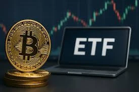 比特币ETF科普：比特币ETF与比特币信托差异在哪？